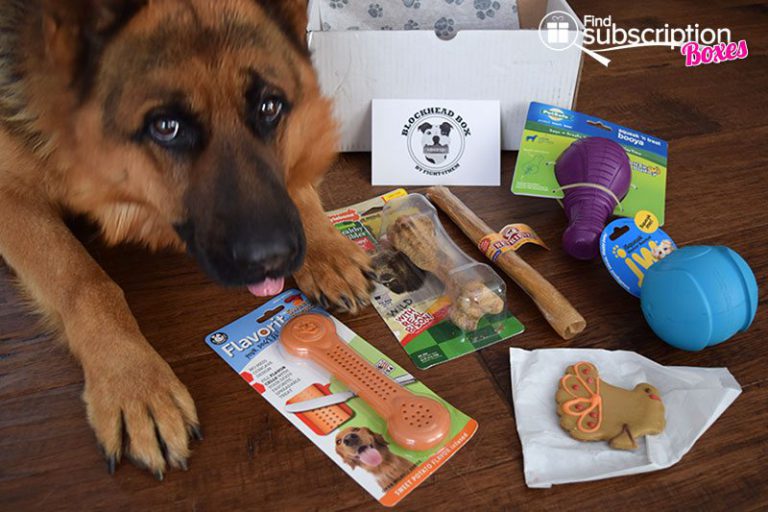 dog subscription box coupon