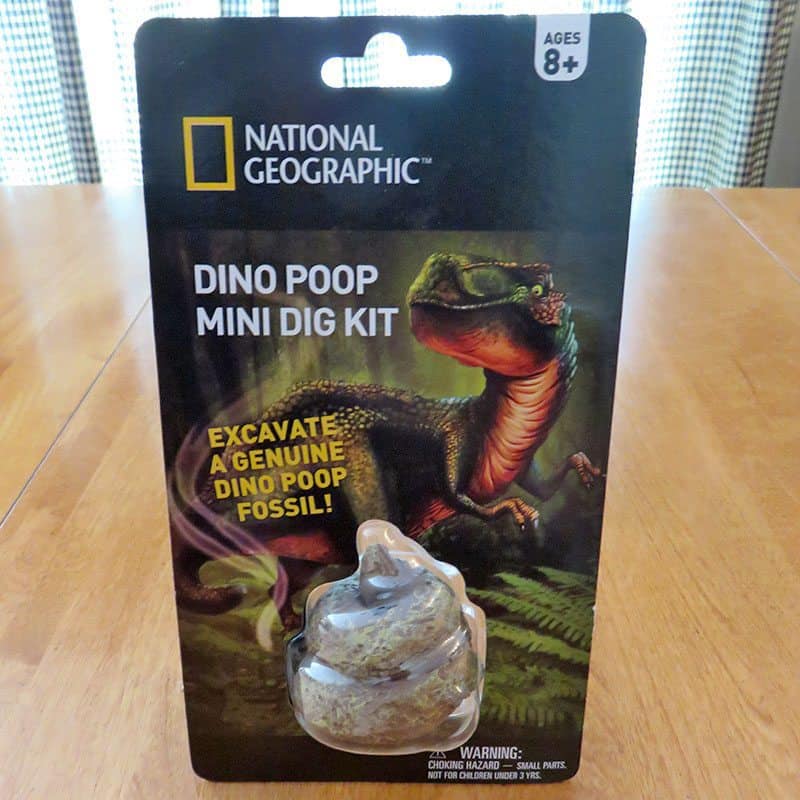 dino poop dig kit