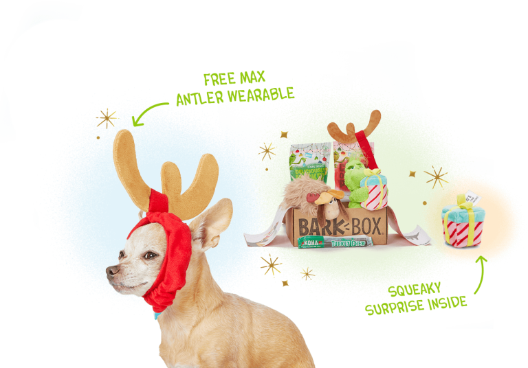 barkbox cyber monday