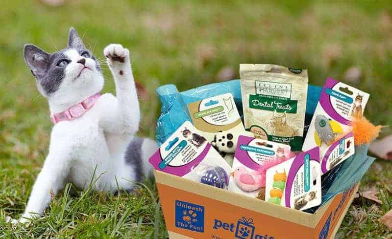 pet gift box